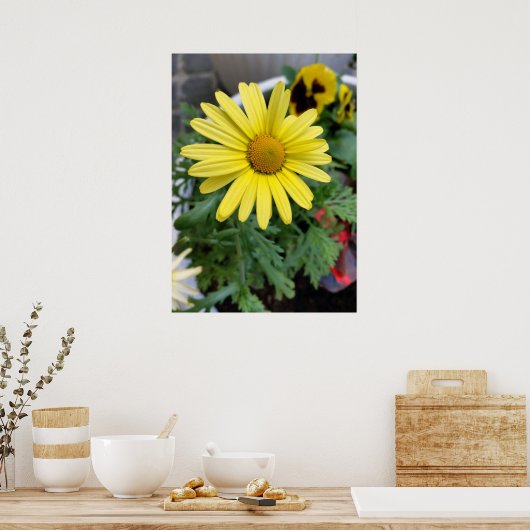 Gelbfärbung Poster (Küche)