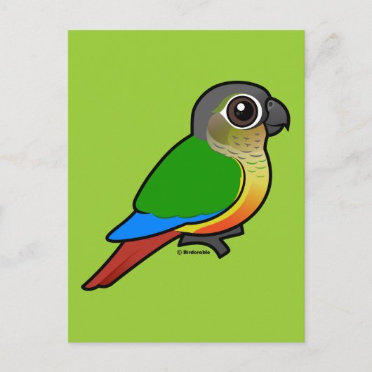 Gelbfärbung Postkarte (Vorderseite)