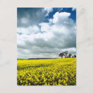 Gelbfeld Postkarte