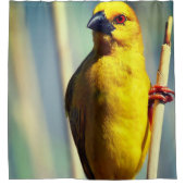 Gelbfinch Duschvorhang (Vorderseite)