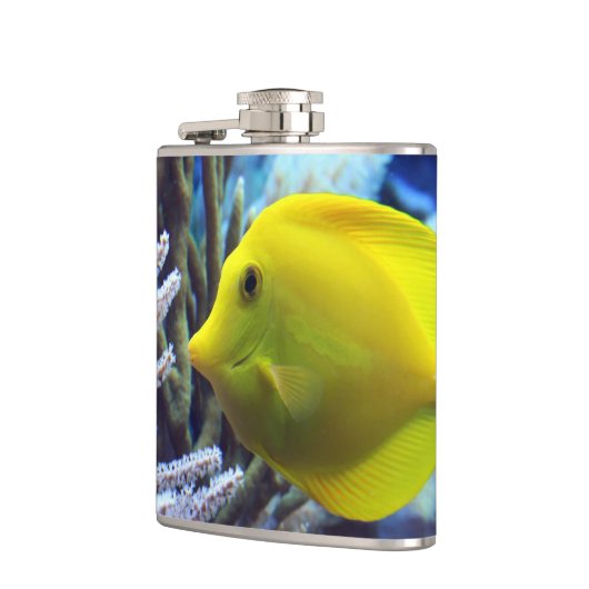 Gelbfisch Flachmann (Links)