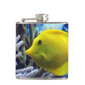 Gelbfisch Flachmann (Vorderseite)