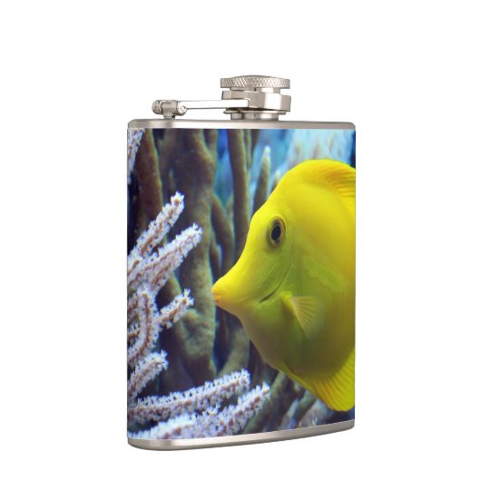 Gelbfisch Flachmann (Rechts)