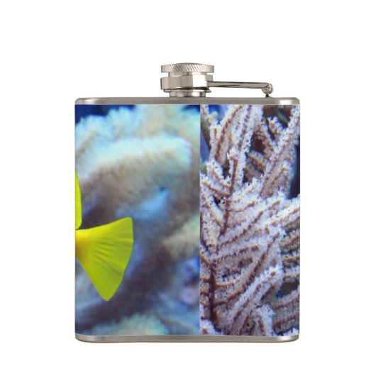 Gelbfisch Flachmann (Rückseite)