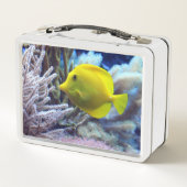 Gelbfisch Metall Brotdose (Rückseite)