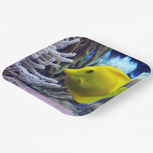 Gelbfisch Pappteller (Gewinkelt)