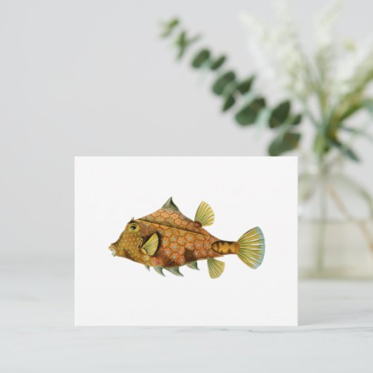 Gelbfisch Postkarte (Stehend Vorderseite)