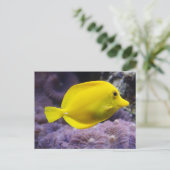 Gelbfisch Postkarte (Stehend Vorderseite)