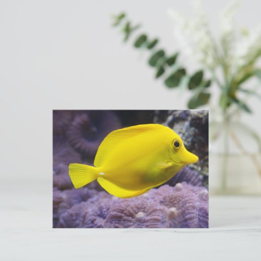 Gelbfisch Postkarte (Stehend Vorderseite)