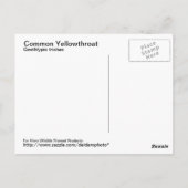 Gelbfliege Postkarte (Rückseite)