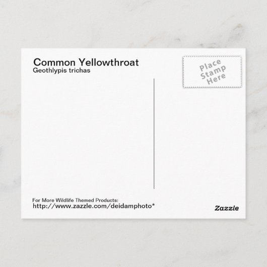 Gelbfliege Postkarte (Rückseite)