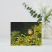 Gelbfliege Postkarte (Stehend Vorderseite)