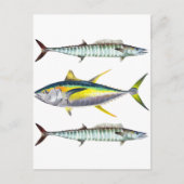 Gelbflossen- und Weißfisch Postkarte (Vorderseite)