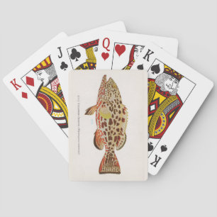 Gelbflossen-Zackenbarsch-Fisch Spielkarten