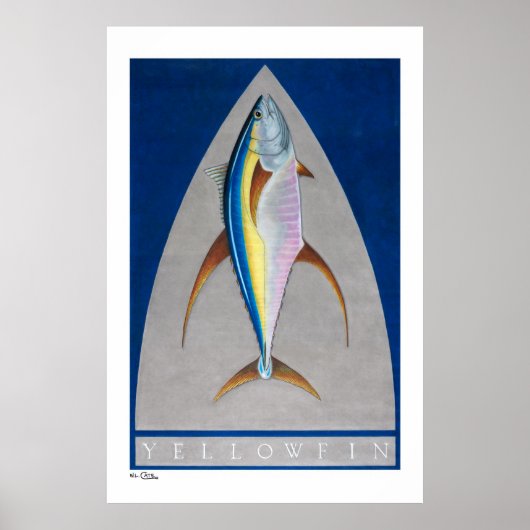 Gelbflossenposter, -drucke und -rahmen poster (Vorne)