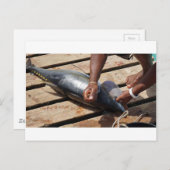 Gelbflossenthun Postkarte (Vorne/Hinten)