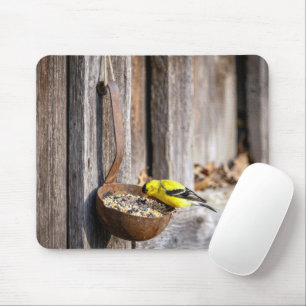 Gelbflügelgimpel auf rostiger Kelle Mousepad