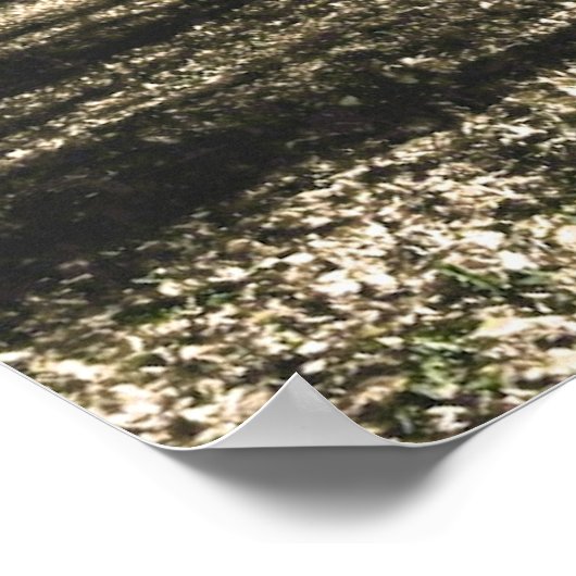 Gelbforst-Poster Poster (Ecke)