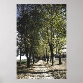 Gelbforst-Poster Poster