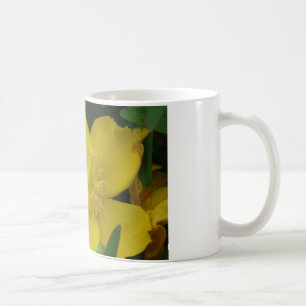 Gelbfoto-Blumentasse Klassische weiße Tasse