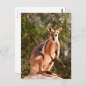 Gelbfußgestein Postkarte (Vorne/Hinten)