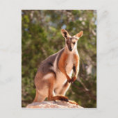 Gelbfußgestein Postkarte (Vorderseite)