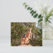 Gelbfußgestein Postkarte (Stehend Vorderseite)