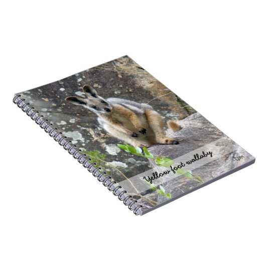 Gelbfußwallaby Notizblock (Rechte Seite)
