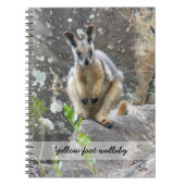 Gelbfußwallaby Notizblock (Vorderseite)