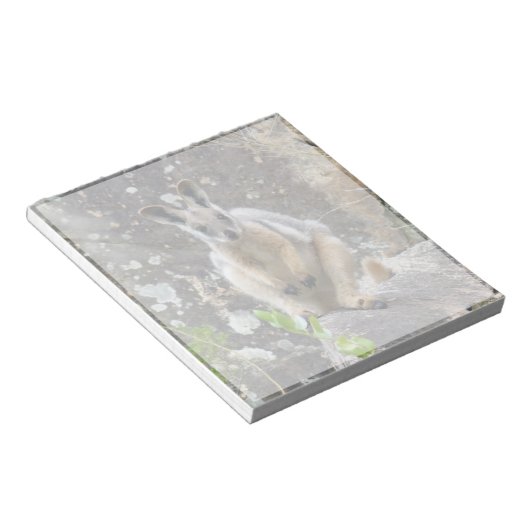 Gelbfußwallaby Notizblock (angewinkelt)