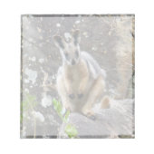 Gelbfußwallaby Notizblock (Vorderseite)
