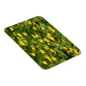 Gelbgelbe Blume im Gras1957 NATURBLUME Y Magnet (Rechte Seite)