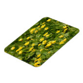 Gelbgelbe Blume im Gras1957 NATURBLUME Y Magnet (Linke Seite)