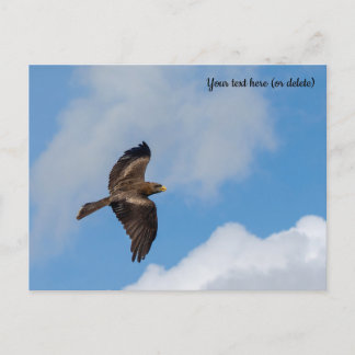 Gelbgeschnabel-Milan Postkarte