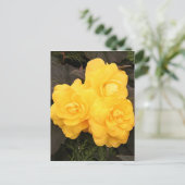 Gelbgold-Begonia-Blume Postkarte (Stehend Vorderseite)