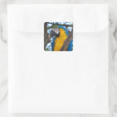 Gelbgrün und blau-tropische Maca Quadratischer Aufkleber (Tasche)