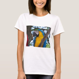 Gelbgrün und blau-tropische Maca T-Shirt