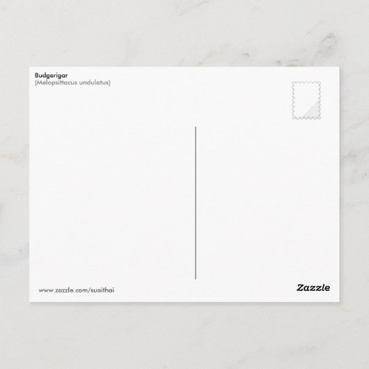 Gelbgrüner Budgerigar Postkarte (Rückseite)