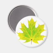 Gelbgrünes Ahornblatt Magnet (Vorderseite/Rückseite)