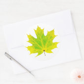 Gelbgrünes Ahornblatt Runder Aufkleber (Umschlag)