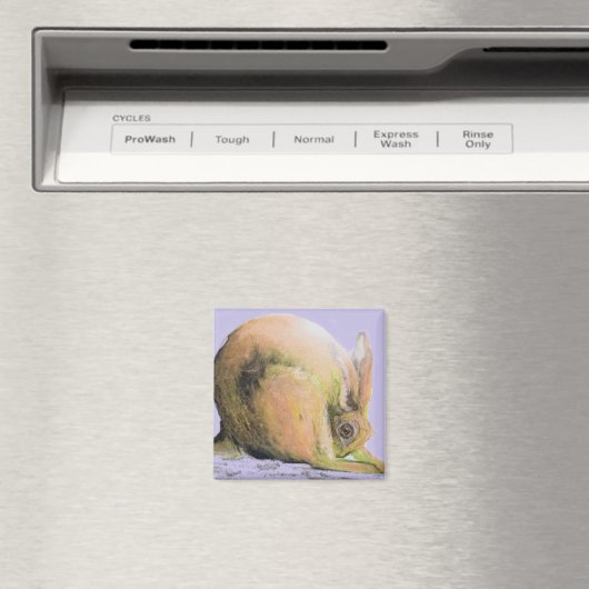 Gelbhase Magnet (In Situ (Geschirrspüler))