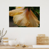 GelbHibiscus75 Poster (Küche)