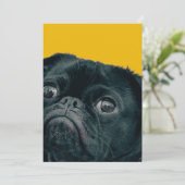 Gelbhund Dankeskarte (Stehend Vorderseite)