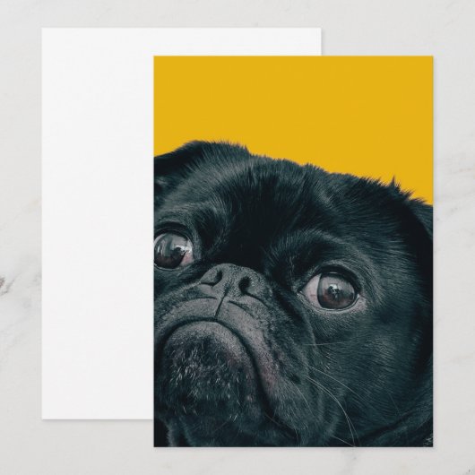 Gelbhund Dankeskarte (Vorne/Hinten)