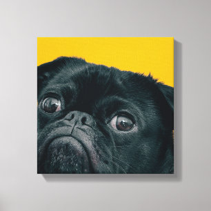 Gelbhund Leinwanddruck