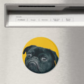 Gelbhund Magnet (In Situ (Geschirrspüler))