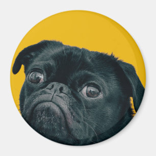 Gelbhund Magnet