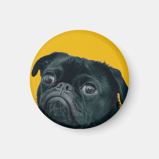 Gelbhund Magnet (Vorne)