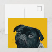 Gelbhund Postkarte (Vorne/Hinten)