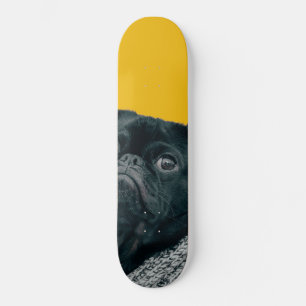 Gelbhund Skateboard